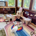 House Rabbit Society of Chicago